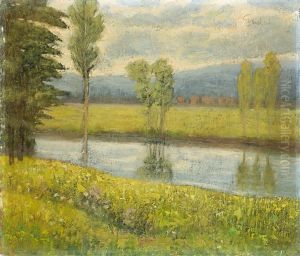 Paesaggio Collinare Con Torrente