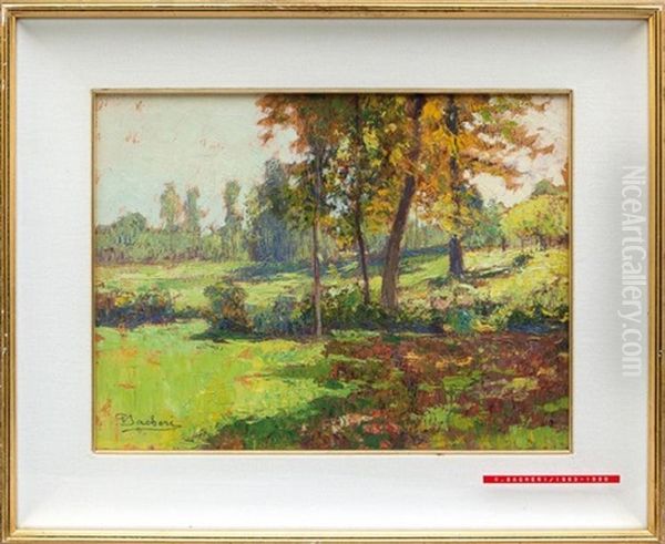 Paesaggio Verde - view 1