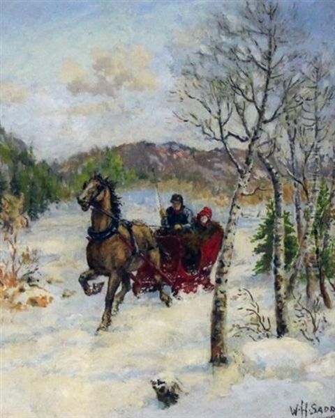 An Afternoon Sleigh Ride - view 1