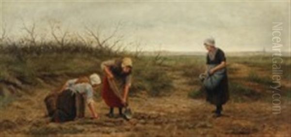 Truffle Hunt In Holland - view 1