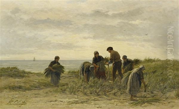In Den Dunen - view 1