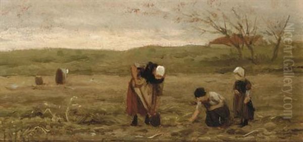 Harvesting - view 1