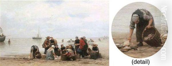 Sorting The Catch - view 1