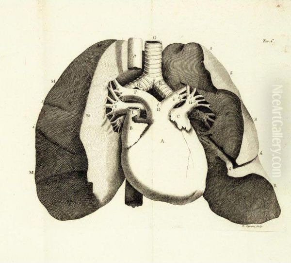 Trattato Della Struttura Del Cuore Della Sua Azione E Delle Sue
Infermita...tradotto Per La Prima Volta Dal Francese. - view 1