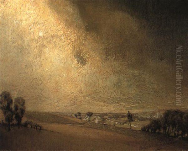 Zomerlicht - view 1