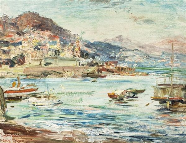 Monte Carlo - view 1