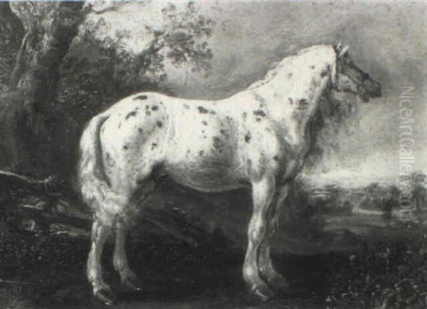 Dappled Grey Horse In A Landscape - view 1