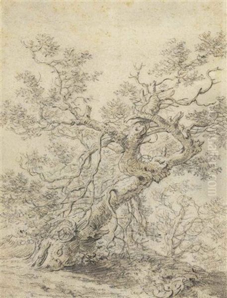 A Tree In A Wood - view 1