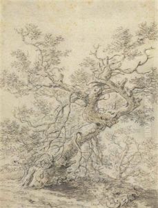 A Tree In A Wood A Tree In A Wood