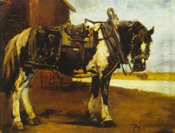 Pferd Im Geschirr - view 1