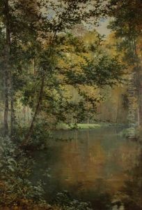 Cours D'eau En Foret Cours D'eau En Foret