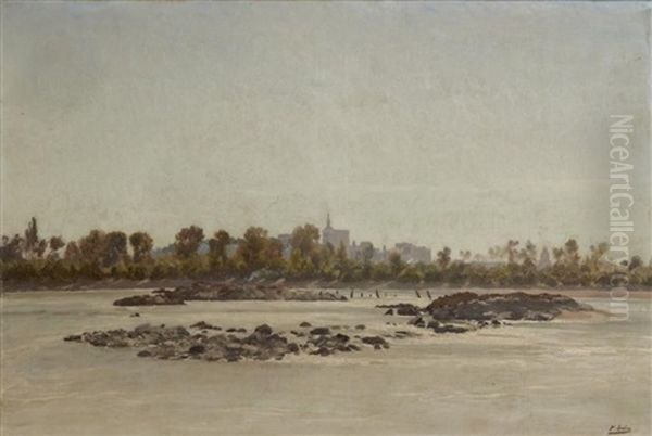 Le Rhone A Avignon - view 1
