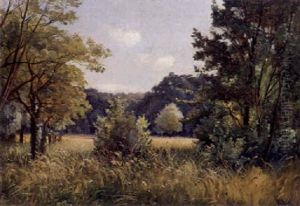 Waldlandschaft Mit Wiese Waldlandschaft Mit Wiese