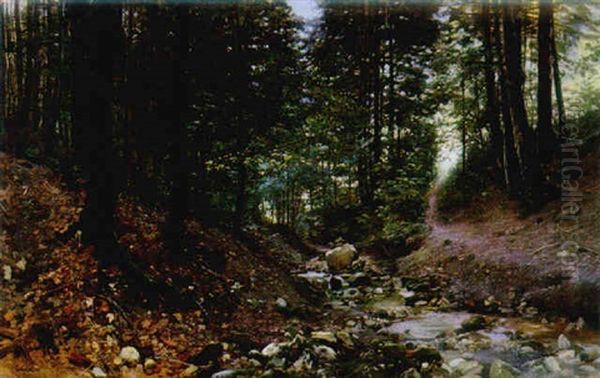 A Stream Through The Underwood - view 1