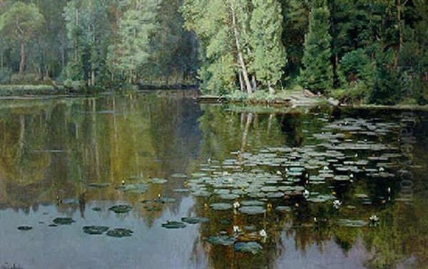Waterlillies - view 1