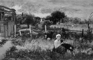 Goatherder In The Field