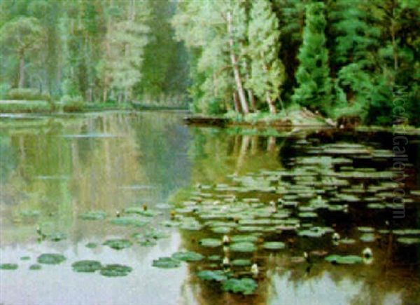 Nenuphars - view 1
