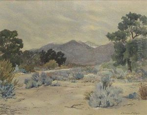 Arroyo Seco