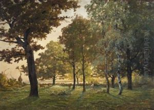 Soleil Couchant Sur Les Dombes Soleil Couchant Sur Les Dombes