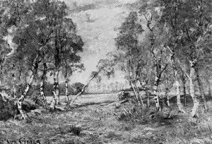 Paysage A L'etang by Jean Aime Saint-Cyr Girier