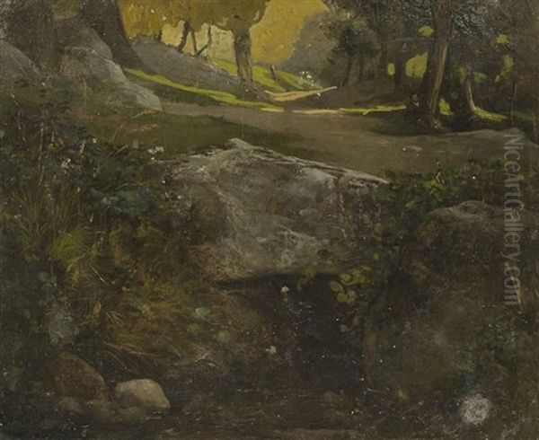 Paysage De Sous-bois - view 1