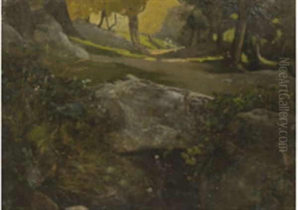 Paysage De Sous-bois - view 1