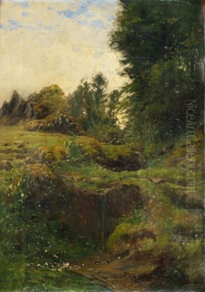 Pies Dans Un Paysage - view 1
