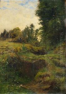 Pies Dans Un Paysage