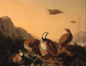 Pheasant In A Landscape Pheasant In A Landscape