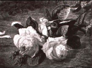 Stilleben Mit Der Rose