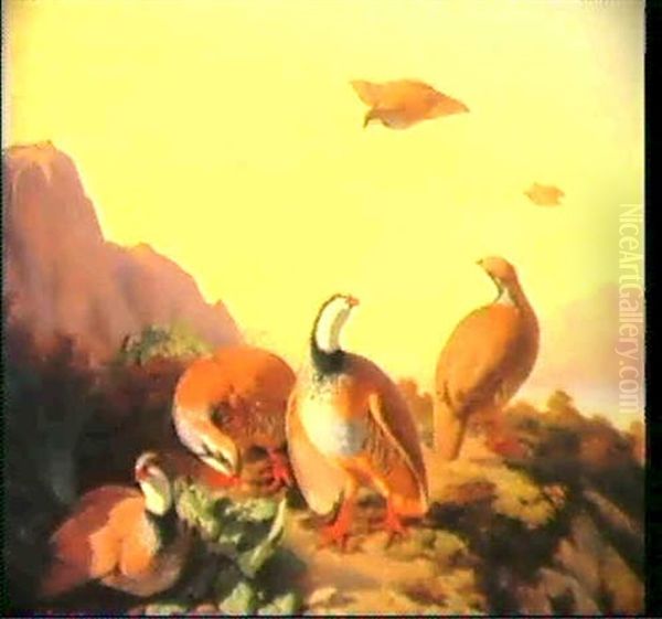 Compagnie De Perdrix - view 1