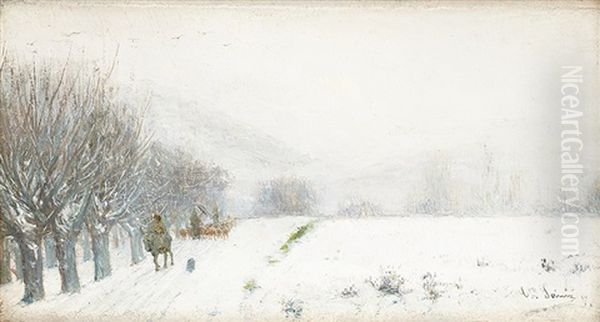 Paisaje Nevado - view 1
