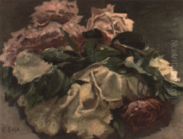 Flores - view 1