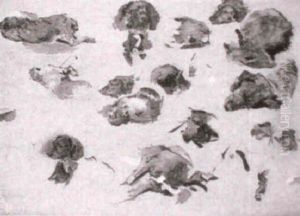 Estudio De Animales