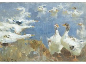 Study Of Geese by Paolo Sala