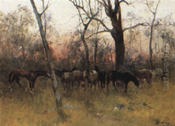 Horses At Sunset - view 1