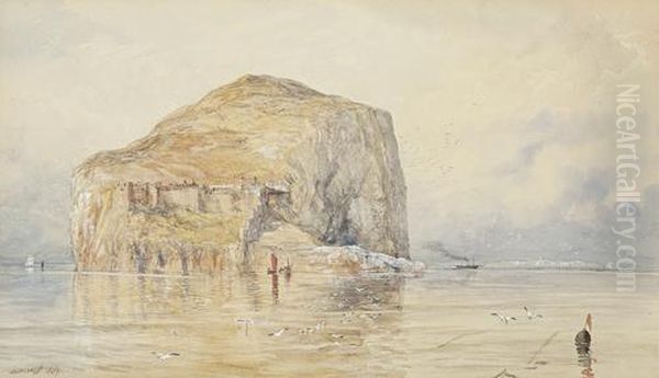 The Bass Rock - view 1