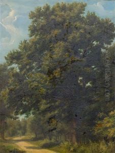 Path With A Figure In A Forest Clearing Path With A Figure In A Forest Clearing