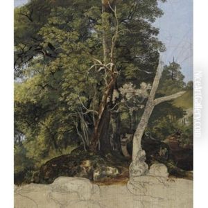 Study Of Trees by Friedrich Salathe