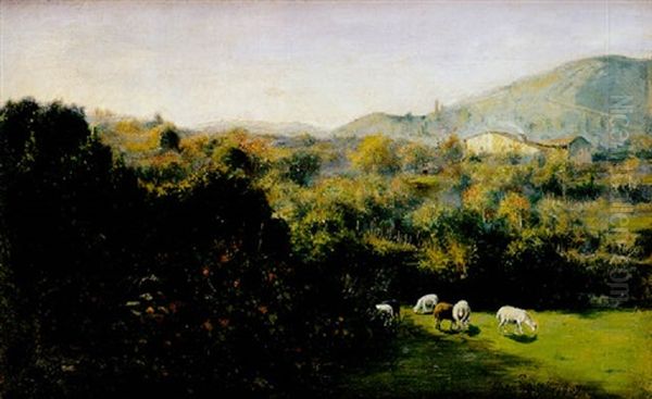 Ovejas Pastando - view 1