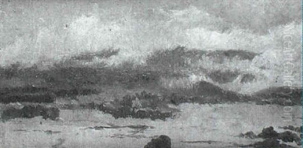 La Nieblas Bajan - view 1