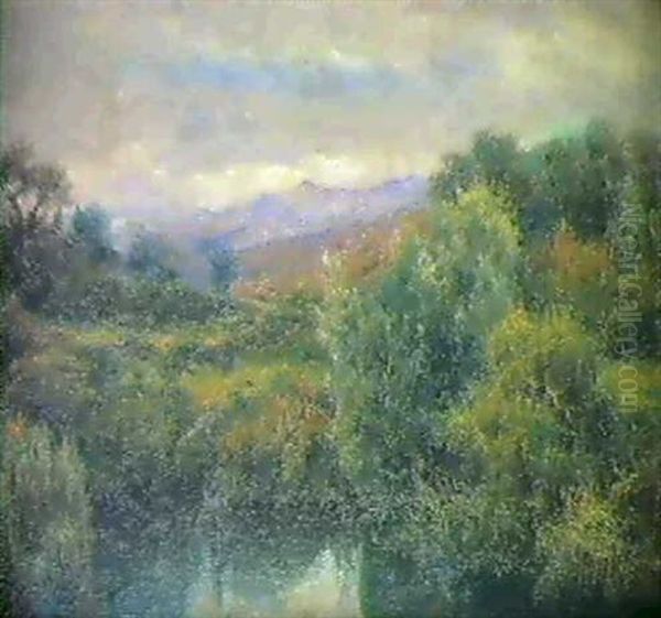 El Reflejo Del Verde Paisaje En Las Aguas Tranquilas Del Rio - view 1