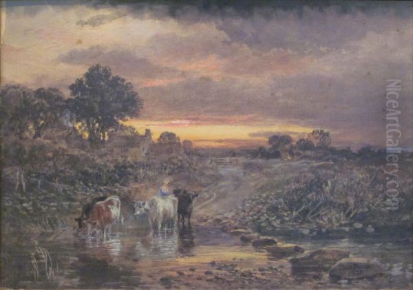 Cattle Watering At Sunset - view 1