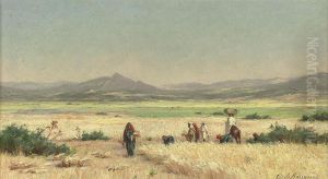 Harvesters At Smindja, Tunisia
