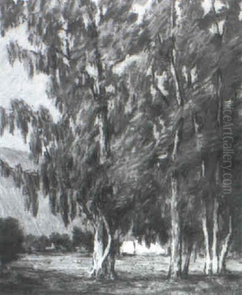 Landscape With Eucalyptus Trees - view 1