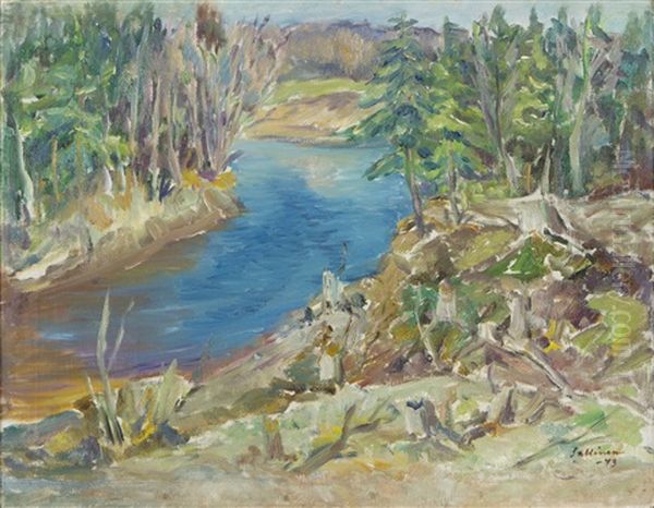 River - view 1