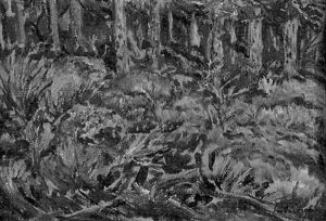 Skog by Tyko Sallinen