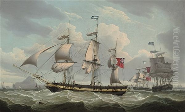 Ships Of The Gladstone & Company Fleet, Possibly Off Hong Kong - view 1