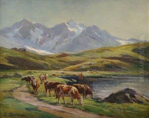 Vaches Au Paturage