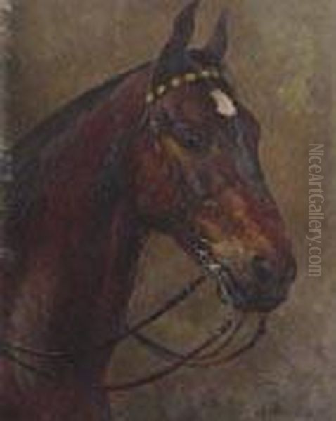 Testa Di Cavallo - view 1
